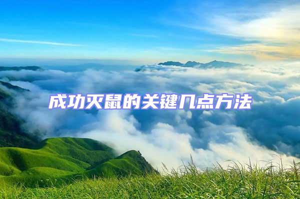 成功滅鼠的關(guān)鍵幾點(diǎn)方法