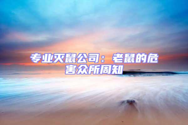 專業滅鼠公司：老鼠的危害眾所周知