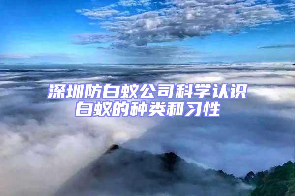深圳防白蟻公司科學(xué)認(rèn)識白蟻的種類和習(xí)性