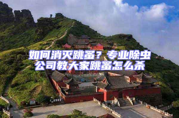 如何消滅跳蚤？專業(yè)除蟲公司教大家跳蚤怎么殺