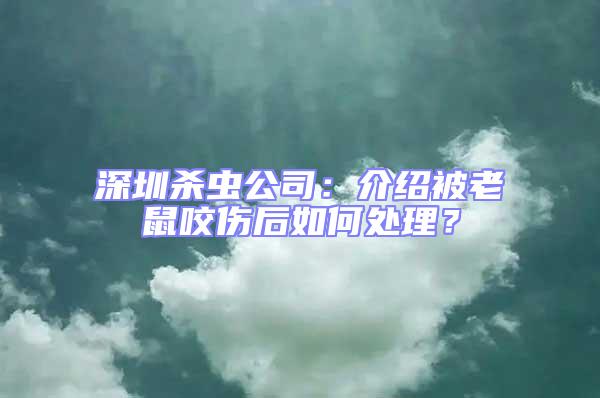 深圳殺蟲公司：介紹被老鼠咬傷后如何處理？