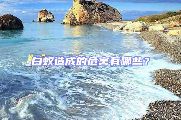 白蟻造成的危害有哪些？