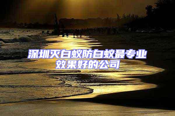 深圳滅白蟻防白蟻最專業效果好的公司
