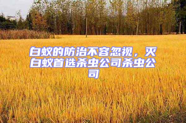 白蟻的防治不容忽視，滅白蟻首選殺蟲公司殺蟲公司
