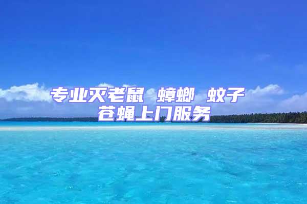 專業(yè)滅老鼠 蟑螂 蚊子 蒼蠅上門服務
