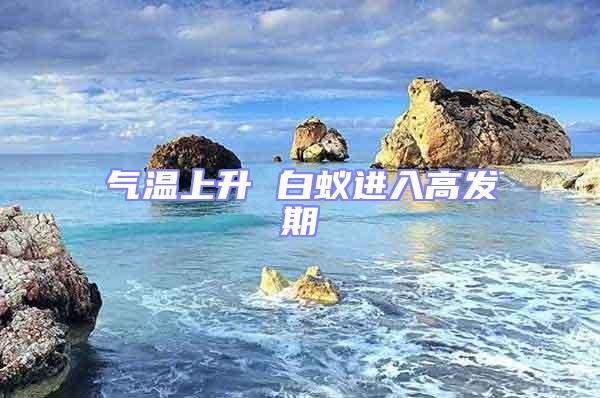 氣溫上升 白蟻進入高發(fā)期