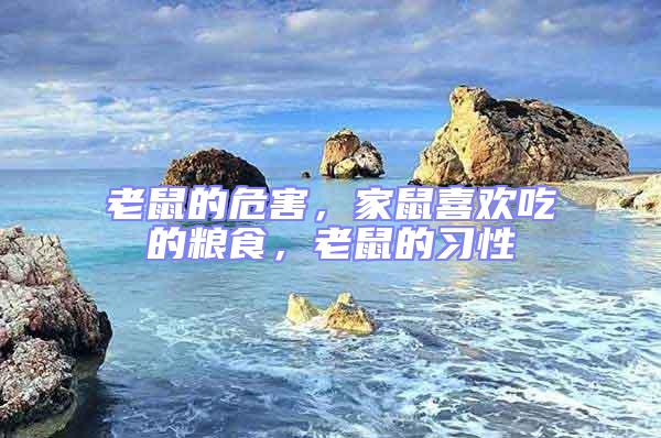 老鼠的危害，家鼠喜歡吃的糧食，老鼠的習性