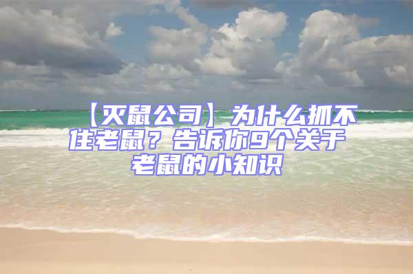 【滅鼠公司】為什么抓不住老鼠？告訴你9個關(guān)于老鼠的小知識