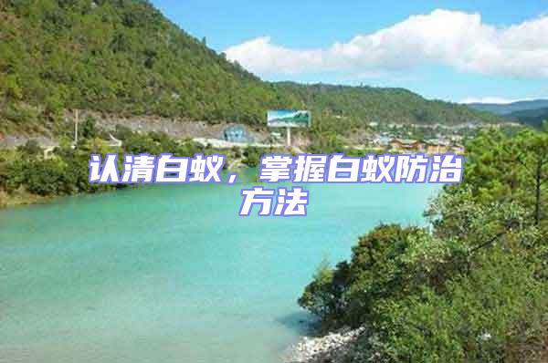 認(rèn)清白蟻，掌握白蟻防治方法