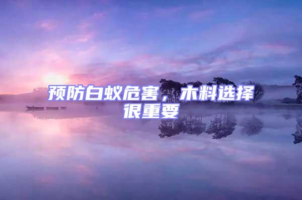 預防白蟻危害，木料選擇很重要