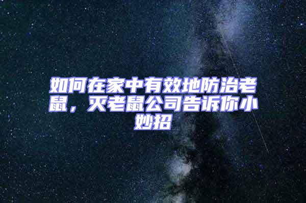 如何在家中有效地防治老鼠，滅老鼠公司告訴你小妙招