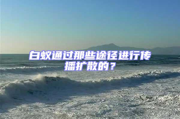白蟻通過那些途徑進行傳播擴散的？
