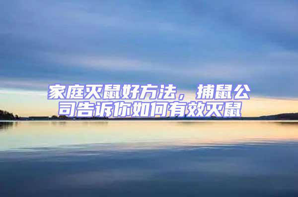 家庭滅鼠好方法，捕鼠公司告訴你如何有效滅鼠