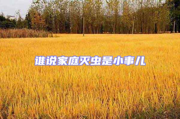 誰(shuí)說(shuō)家庭滅蟲(chóng)是小事兒