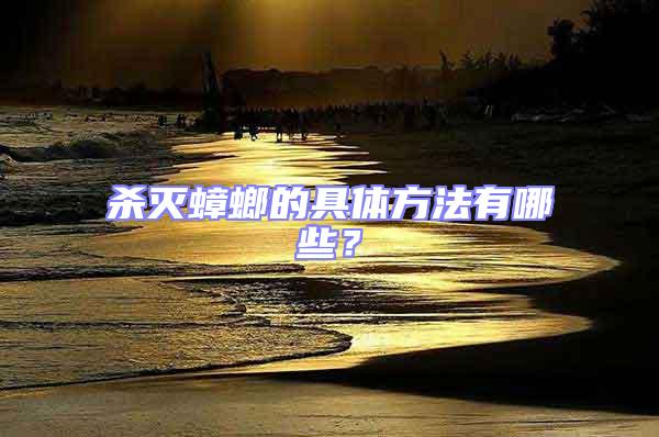 殺滅蟑螂的具體方法有哪些？