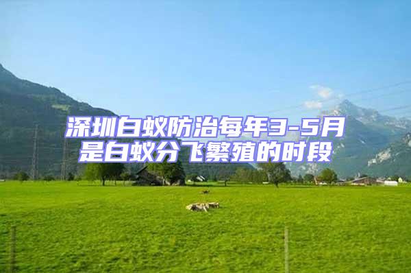 深圳白蟻防治每年3-5月是白蟻分飛繁殖的時(shí)段