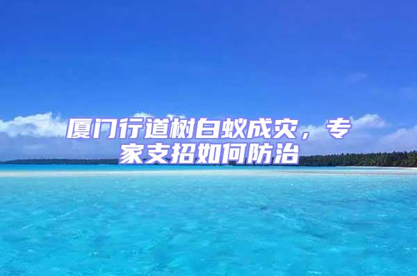 廈門行道樹白蟻成災，專家支招如何防治
