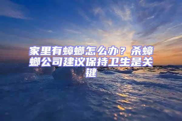 家里有蟑螂怎么辦？殺蟑螂公司建議保持衛生是關鍵