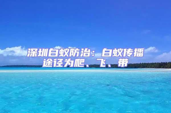 深圳白蟻防治：白蟻傳播途徑為爬、飛、帶