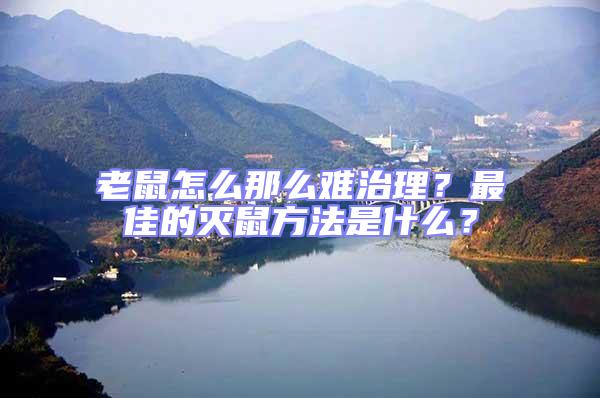 老鼠怎么那么難治理？最佳的滅鼠方法是什么？