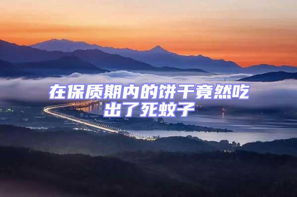 在保質期內的餅干竟然吃出了死蚊子