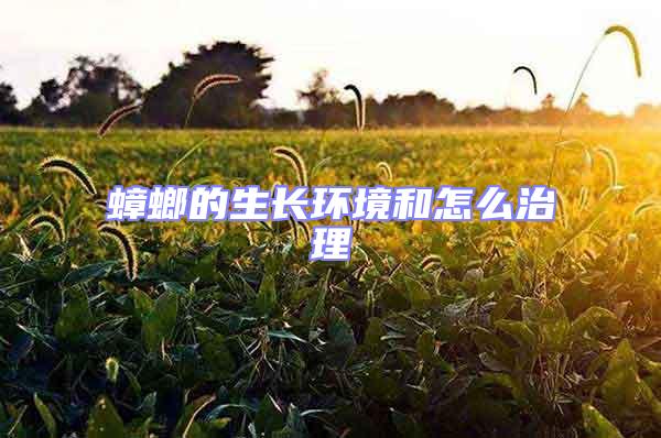 蟑螂的生長環(huán)境和怎么治理