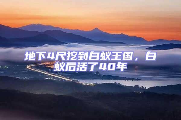 地下4尺挖到白蟻王國，白蟻后活了40年