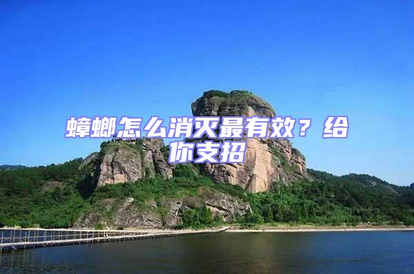 蟑螂怎么消滅最有效？給你支招