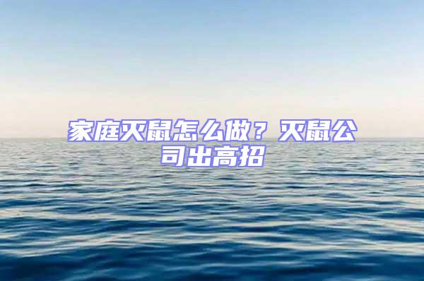 家庭滅鼠怎么做？滅鼠公司出高招