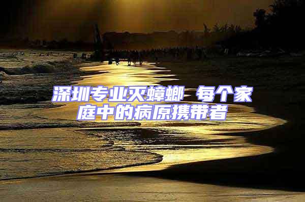 深圳專業滅蟑螂 每個家庭中的病原攜帶者