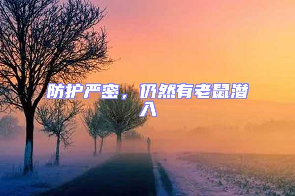 防護嚴密，仍然有老鼠潛入