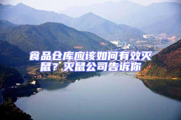 食品倉庫應(yīng)該如何有效滅鼠？滅鼠公司告訴你