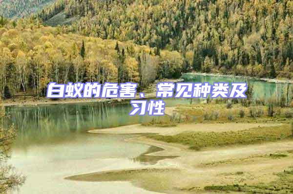 白蟻的危害、常見(jiàn)種類(lèi)及習(xí)性