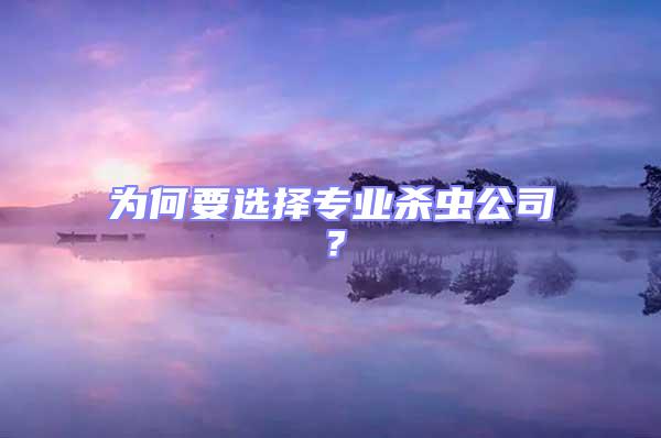 為何要選擇專業殺蟲公司？