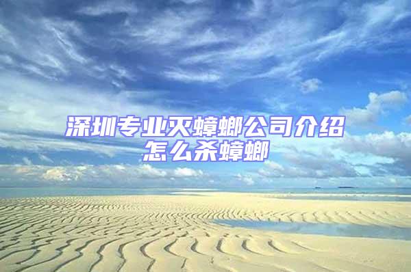 深圳專業(yè)滅蟑螂公司介紹怎么殺蟑螂