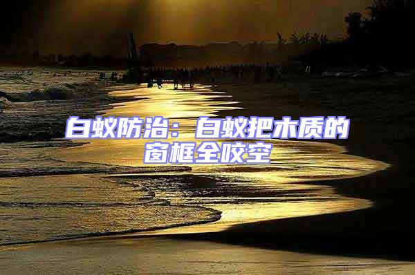 白蟻防治：白蟻把木質(zhì)的窗框全咬空
