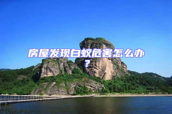 房屋發(fā)現(xiàn)白蟻危害怎么辦？