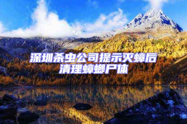 深圳殺蟲(chóng)公司提示滅蟑后清理蟑螂尸體
