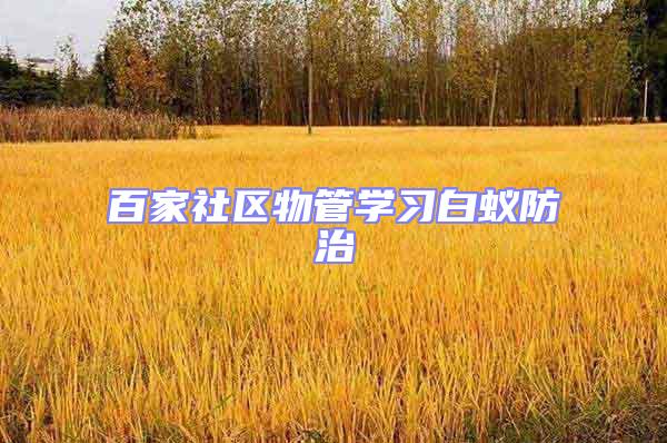 百家社區(qū)物管學(xué)習(xí)白蟻防治