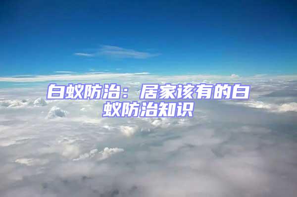 白蟻防治：居家該有的白蟻防治知識