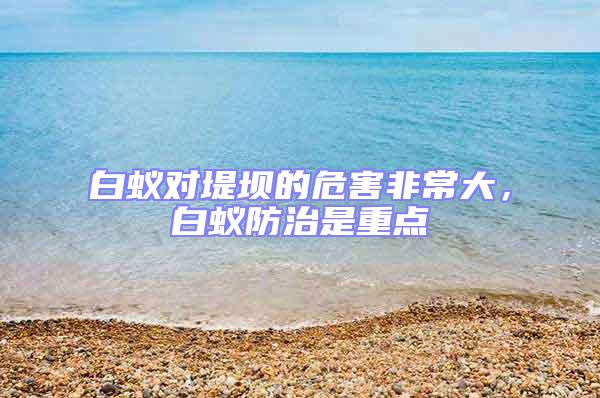 白蟻對堤壩的危害非常大，白蟻防治是重點(diǎn)