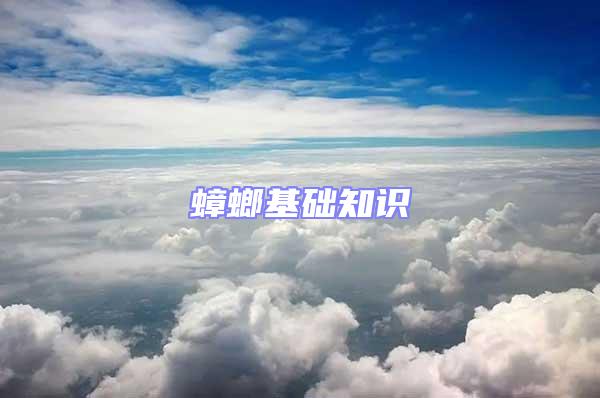蟑螂基礎(chǔ)知識(shí)