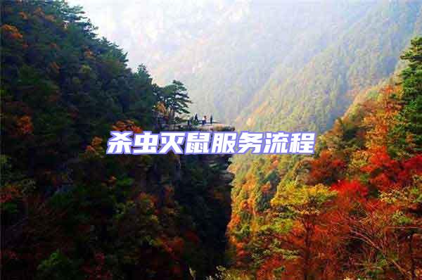 殺蟲(chóng)滅鼠服務(wù)流程
