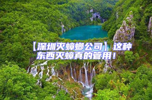 【深圳滅蟑螂公司】這種東西滅蟑真的管用！