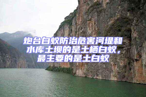 炮臺(tái)白蟻防治危害河堤和水庫土壩的是土棲白蟻，最主要的是土白蟻