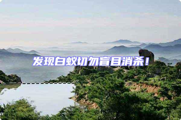 發(fā)現(xiàn)白蟻切勿盲目消殺！