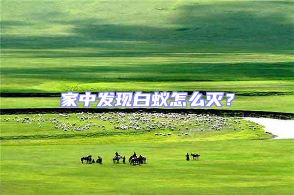 家中發現白蟻怎么滅？
