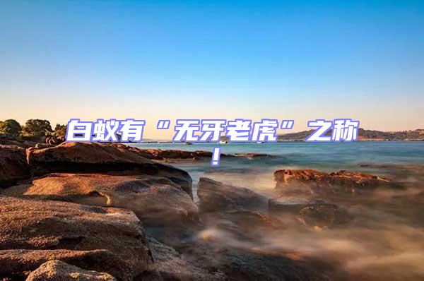白蟻有“無牙老虎”之稱！