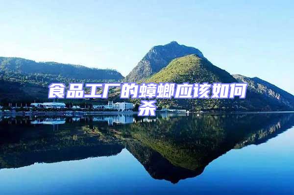 食品工廠的蟑螂應該如何殺