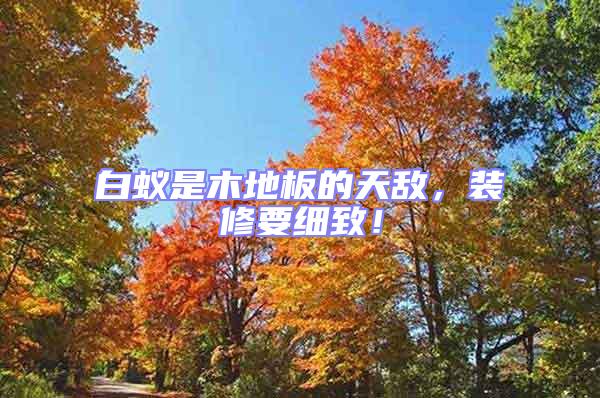白蟻是木地板的天敵，裝修要細致！